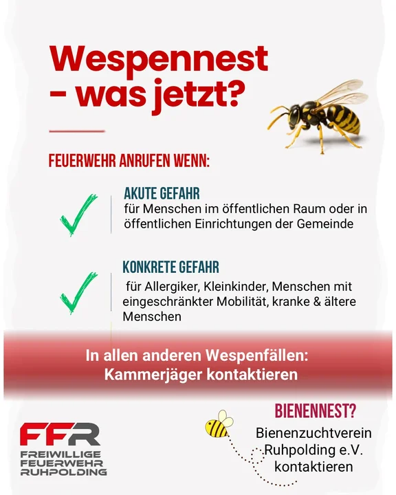 WhatsApp Image 2026-08-12 at 07.48.22.jpeg
